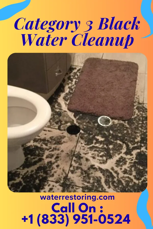Category 3 Black Water Cleanup in Russell Springs, KS
